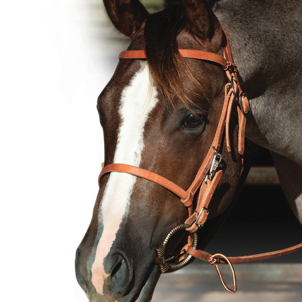 Professional's Choice Trail Bridle Tack - Training - Headgear Professional's Choice   