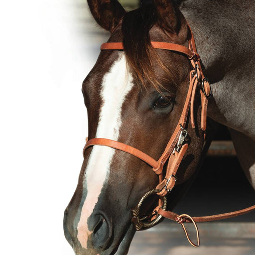 Professional's Choice Trail Bridle Tack - Training Professional's Choice