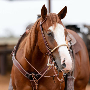 Professional's Choice Braided Rawhide Rope Noseband Tack - Nosebands Professional's Choice   