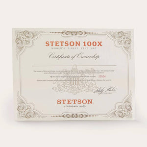 Stetson El Presidente 100X Premier Felt Hat - Silverbelly HATS - FELT HATS Stetson   