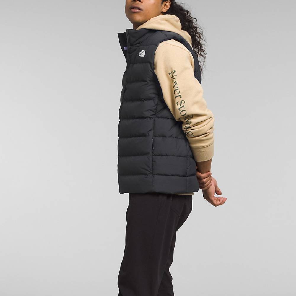 The North Face Men's Aconcagua Vest 3 - FINAL SALE - Teskeys