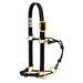 Weaver Horseman's Halter with Side Ring Tack - Halters & Leads Weaver Small Black/Black