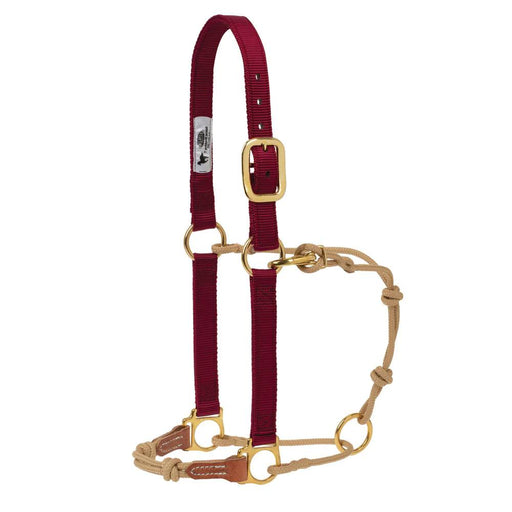 Weaver Horseman's Halter Tack - Halters & Leads Weaver Small Burgundy/Tan