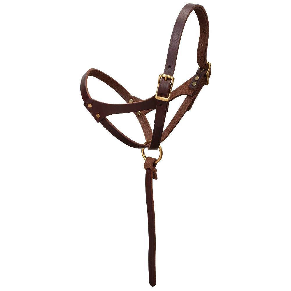 Weaver Leather Figure 8 Foal Halter with Leather Lead Rope