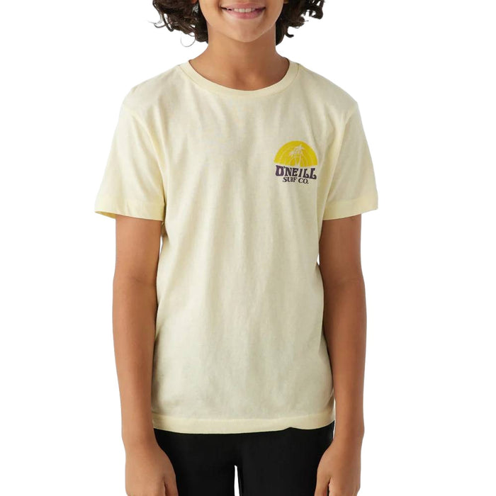 O'Neill Boy's Shaved Ice Tee - FINAL SALE KIDS - Boys - Clothing - T-Shirts & Tank Tops O'Neill   