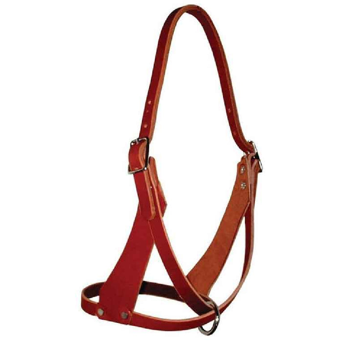 Teskey's Figure Eight Halter Tack - Halters & Leads Teskey's