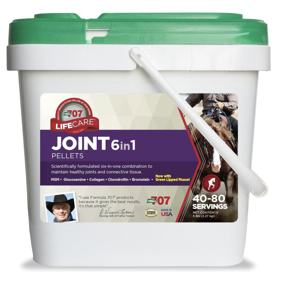 Formula 707 Joint 6 in 1 Equine - Supplements Formula 707 5lb  