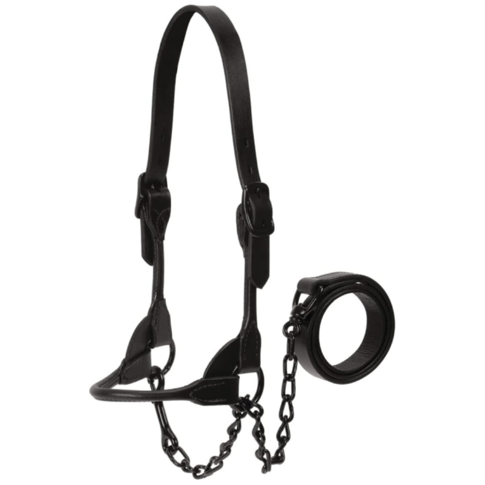 Weaver Black Magic Show Halter Livestock - Show Supplies Weaver Leather Medium  