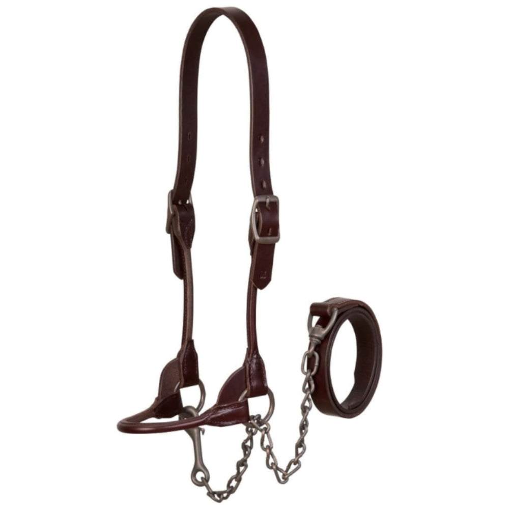 Weaver Brown Bombshell Show Halter Livestock - Show Supplies Weaver Leather   