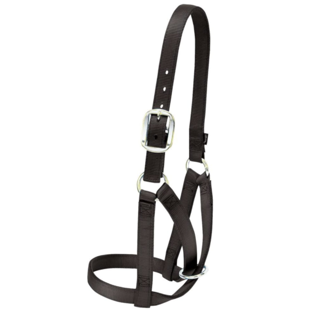 Weaver Cow Barn Halter Equine - Grooming Weaver Leather   