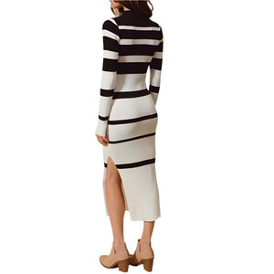 Fitted Variegated Striped Sweater Dress