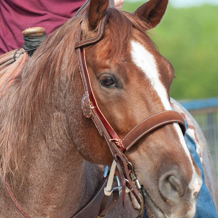 Martin Saddlery Double Rope Chocolate Roughout Leather Covered Noseband Tack - Nosebands & Tie Downs Martin Saddlery