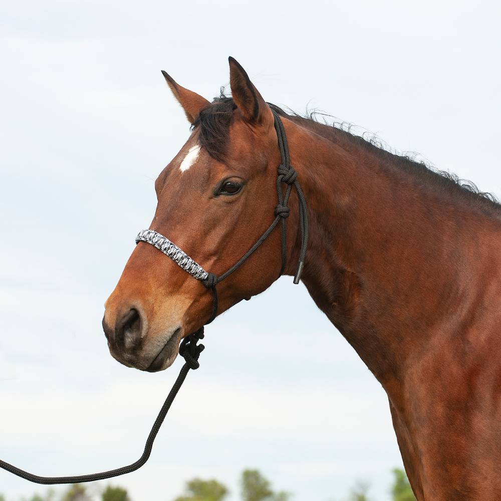 Cashel Braided Rope Nose Halter with Lead Tack - Halters & Leads Cashel