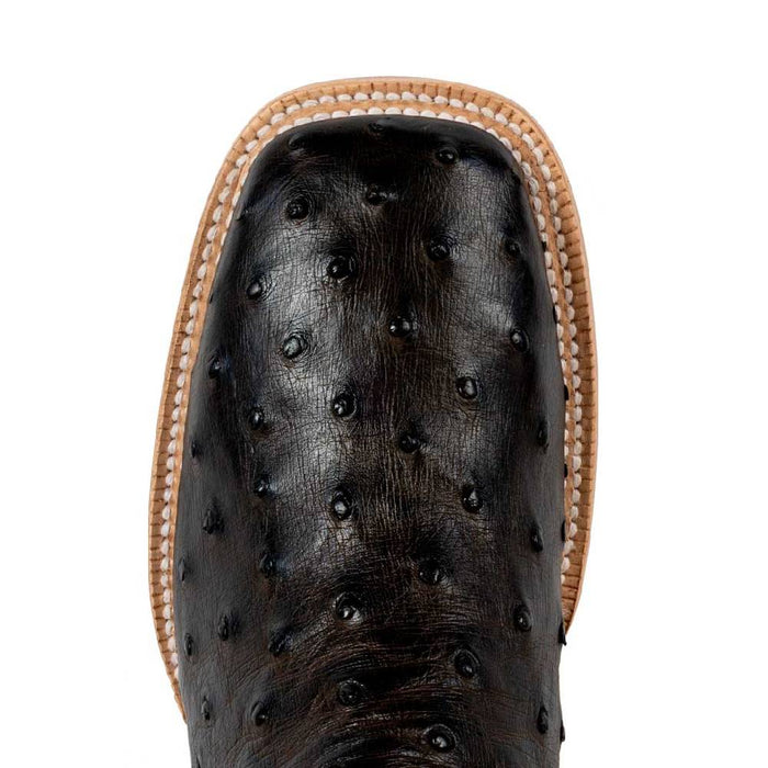 R. Watson Men's Nicotine Full Quill Ostrich Boot MEN - Footwear - Western Boots R Watson