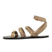 ShuShop Women's Daphne Sandal WOMEN - Footwear - Sandals ShuShop