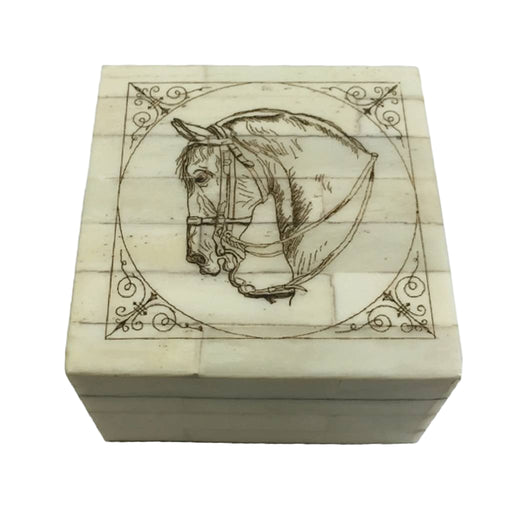 Horse Head Scrimshaw Bone Box HOME & GIFTS - Home Decor - Decorative Accents Madison Bay Co.