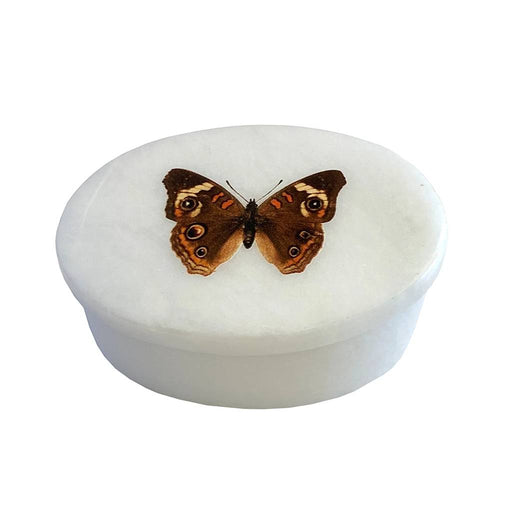 Buckeye Butterfly White Oval Soapstone Trinket Box HOME & GIFTS - Home Decor - Decorative Accents Madison Bay Co.