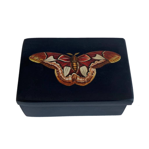 Atlas Moth Black Soapstone Trinket Box HOME & GIFTS - Home Decor - Decorative Accents Madison Bay Co.