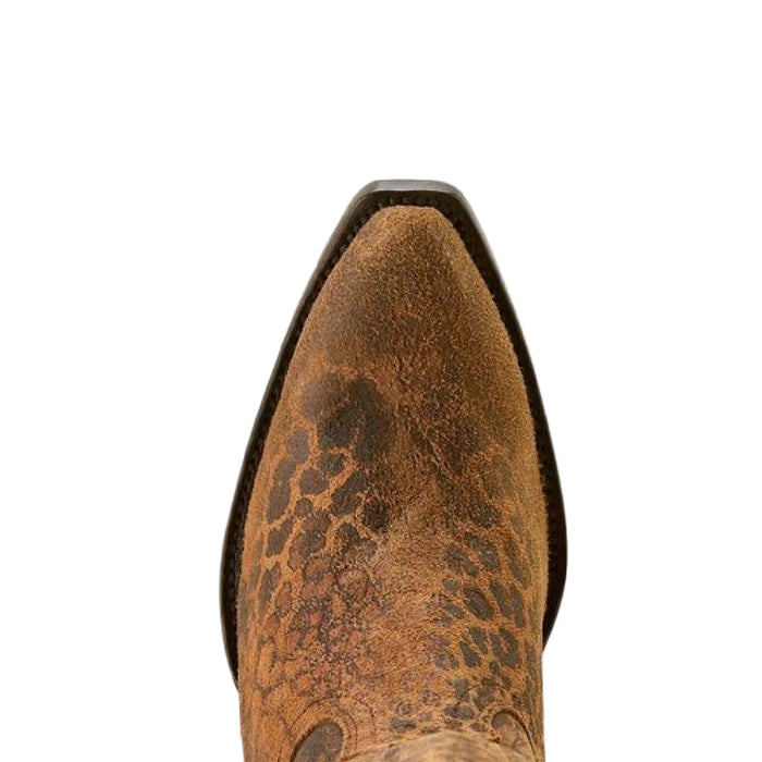 Ariat Women's Casanova X Toe Distressed Leopard Western Boot WOMEN - Footwear - Boots - Western Boots Ariat Footwear