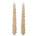 Set of 2 Unscented Tree Shaped Taper Candles - Eggnog/Gold HOME & GIFTS - Home Decor - Seasonal Decor Creative Co-Op