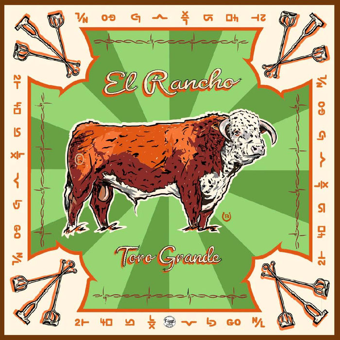 Fringe Scarves Toro Grande Shower Curtain