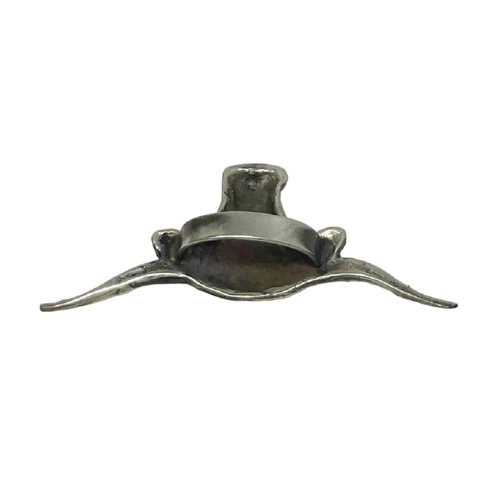 Fringe Scarves Longhorn Slide