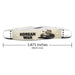 Case War Series Smooth Natural Bone Muskrat Knives W.R. Case
