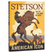 Stetson The Hat That Won The West HOME & GIFTS - Books Penguin Random House