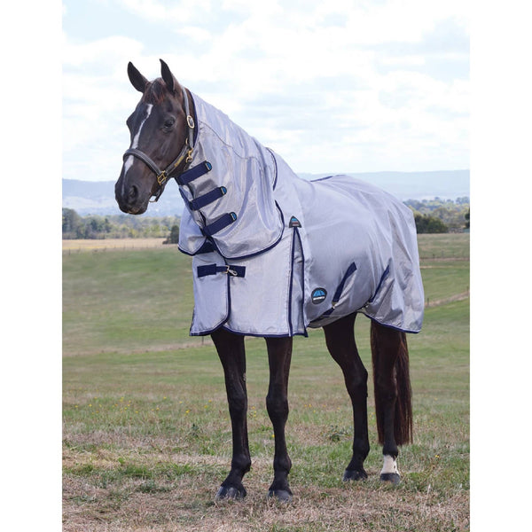 Equine Care