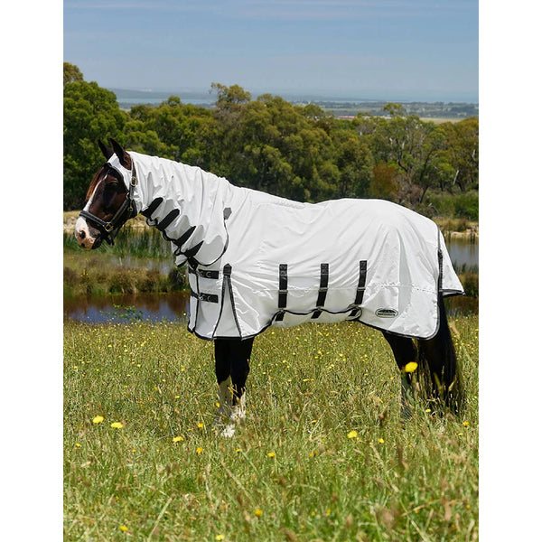Equine Care