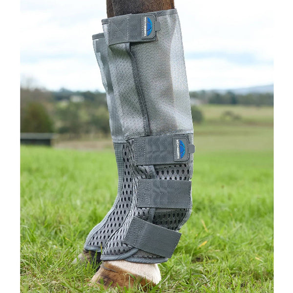 Equine Care