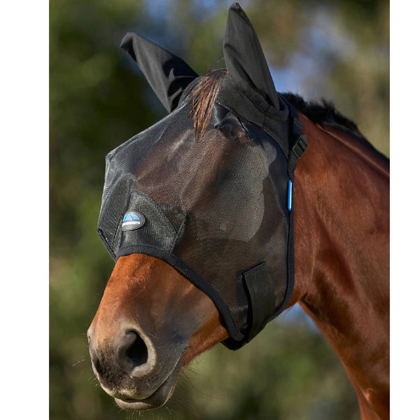 Equine Care