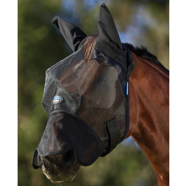 Equine Care