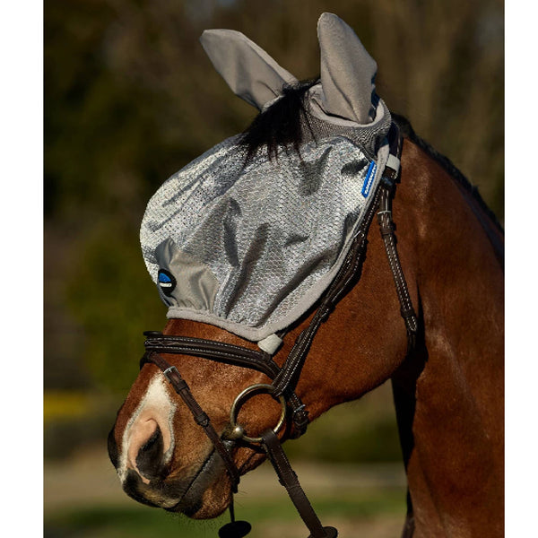 Equine Care