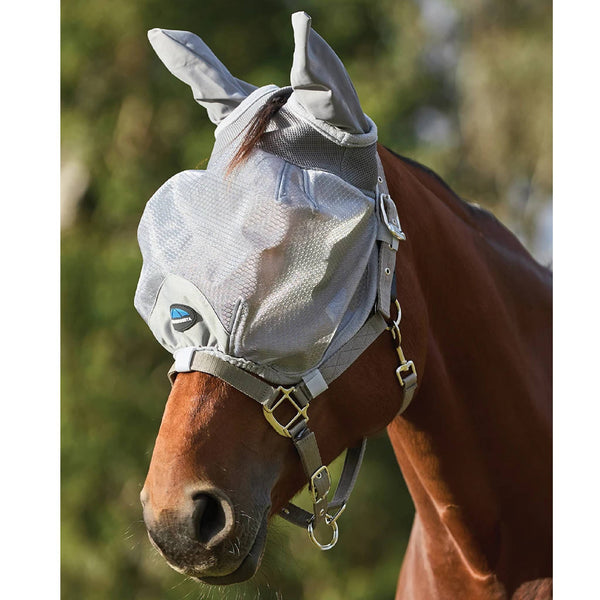 Equine Care