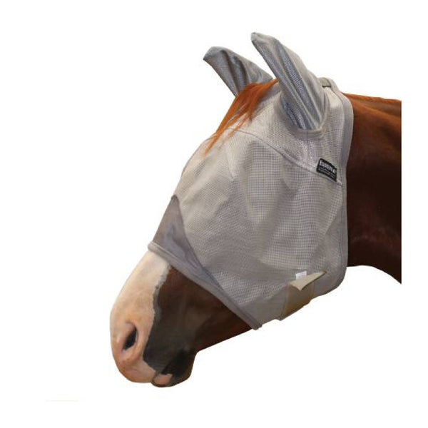 Equine Care