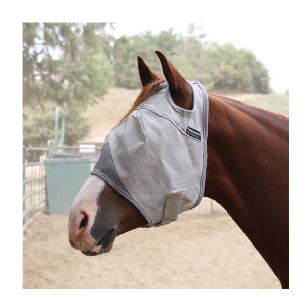 Equine Care