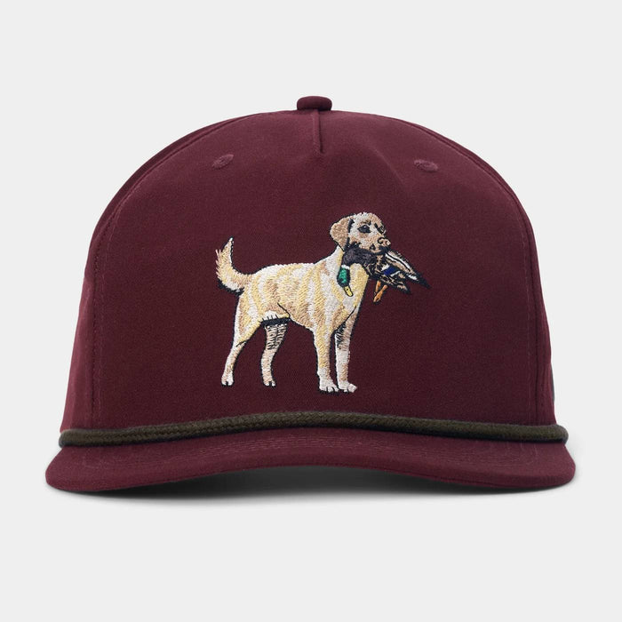 Duck Camp Yellow Lab Hat - Carmine