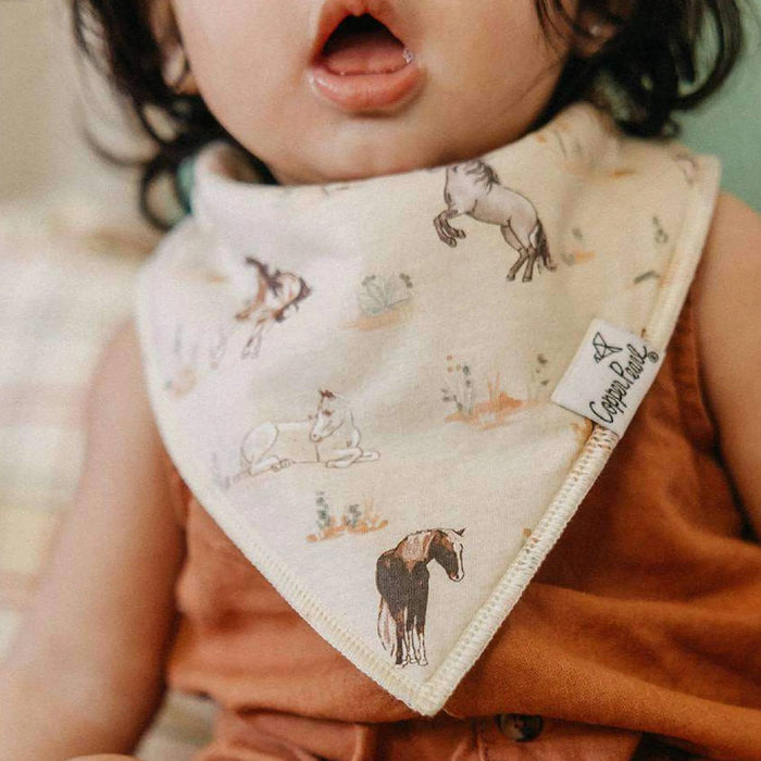 Cheyenne Baby Bandana Bibs - 4 Pack