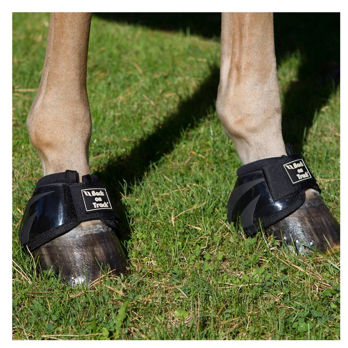 Back On Track Performance Bell Boots Tack - Leg Protection Back on Track