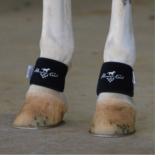 Professional's Choice 2XCool Pastern Wrap Tack - Leg Protection Professional's Choice