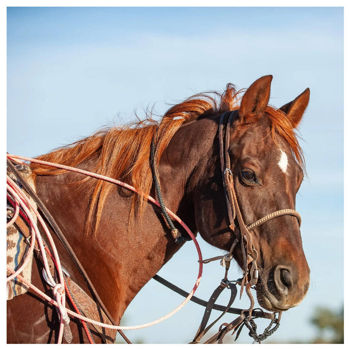 Rattler Calf Roping Square Neck Rope Tack - Ropes & Roping Rattler