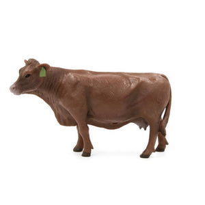 Red Angus Cow KIDS - Accessories - Toys Little Buster