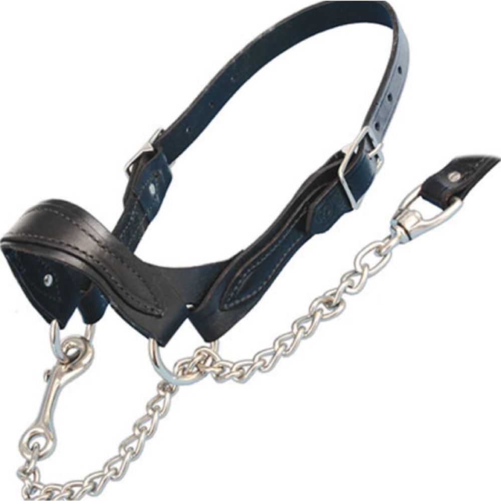 Sullivan's Scalloped Show Halter Livestock - Show Supplies Sullivan's Supply   