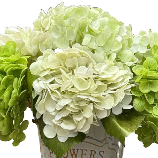 Ivory Hydrangea Bloom 12.5" HOME & GIFTS - Home Decor - Faux Flowers + Plants Angel Isabella