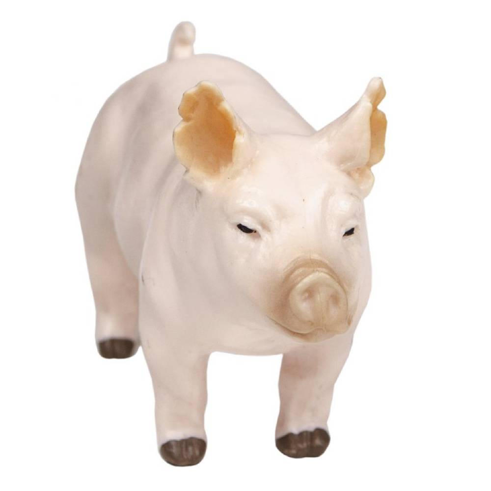 Champion Yorkshire Show Pig KIDS - Accessories - Toys Little Buster