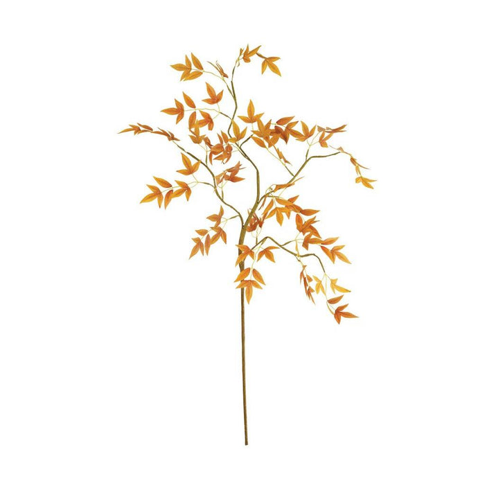 Botanica HOME & GIFTS - Home Decor - Decorative Accents Kalalou
