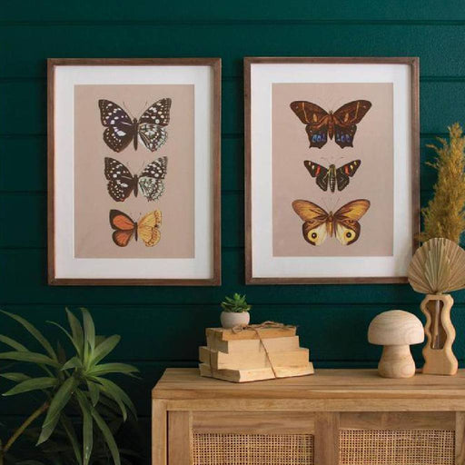 Set of 2 Framed Butterfly Prints HOME & GIFTS - Home Decor - Wall Decor + Mirrors Kalalou