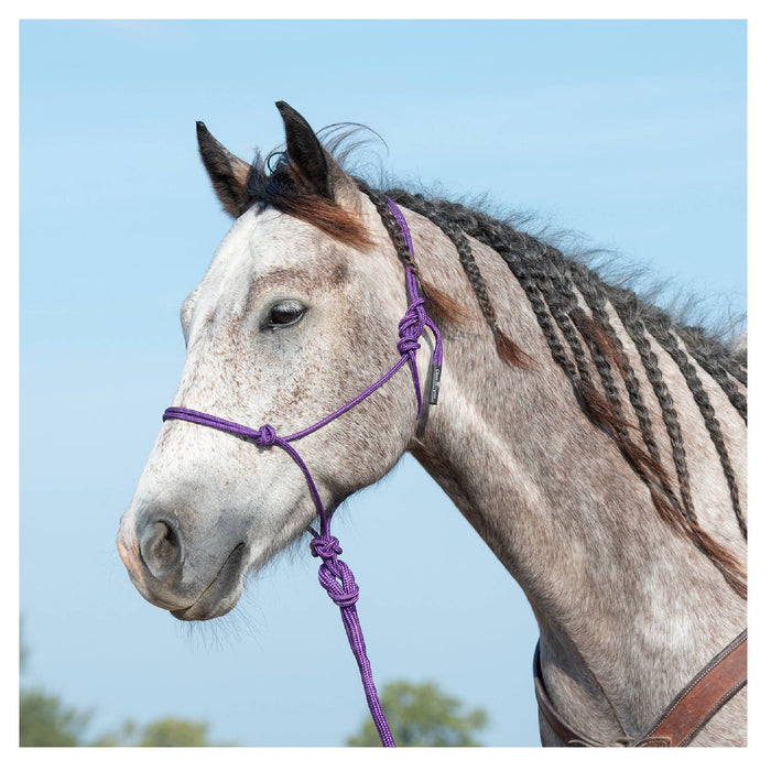 Classic Equine Rope Halter with Lead Tack - Halters & Leads Classic Equine