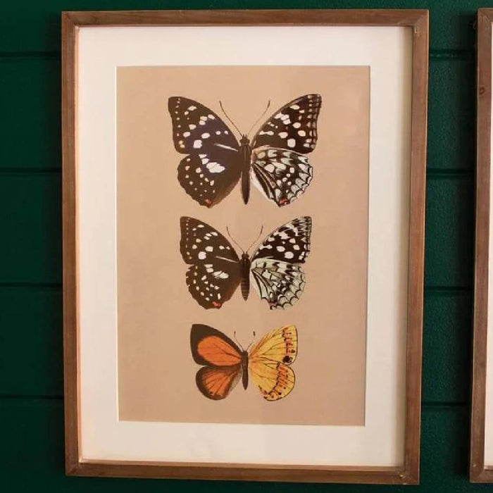 Set of 2 Framed Butterfly Prints HOME & GIFTS - Home Decor - Wall Decor + Mirrors Kalalou
